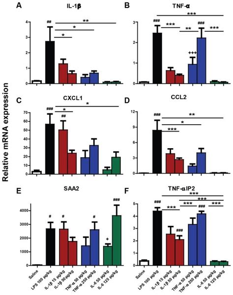 Liver Transcription Of Mrna Species For Il 1β Tnf α Cxcl1 Ccl2 Saa2