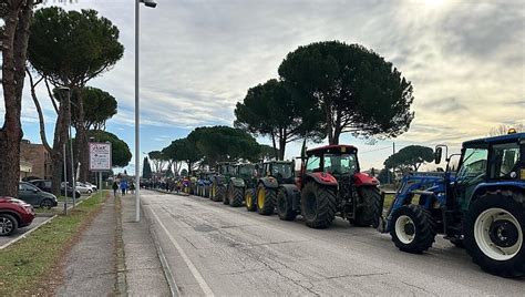 La Rivolta Dei Trattori Ecco Perch Dilaga La Protesta Degli