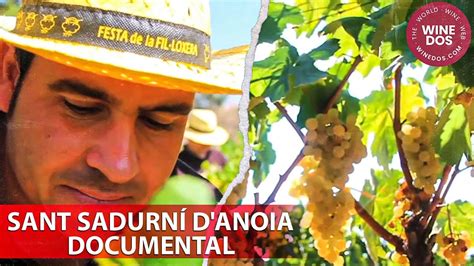 Sant Sadurn D Anoia Documental Cava Espanol Winesdos The