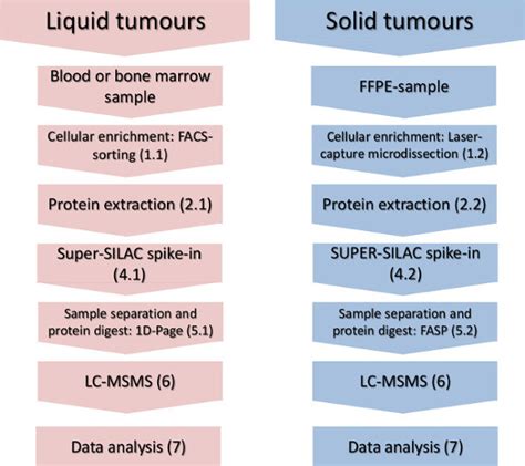 Quantitative Mass Spectrometric Profiling Of Cancer Cell Proteomes