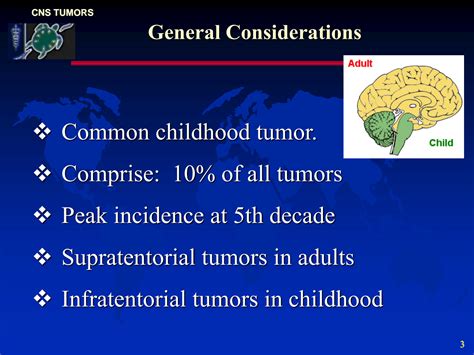 Solution Pathology Of Central Nervous System Tumors Neurology Studypool