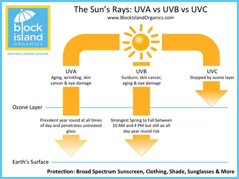 Uva Uvb And Uvc Rays What They Are And How Sunscreen Protects You