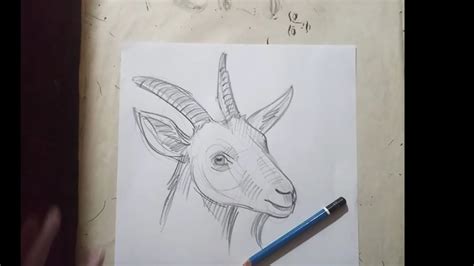 Realistic Goat Drawing