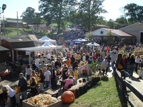 7 Must See Fall Festivals Around Pittsburgh Pittsburgh Beautiful