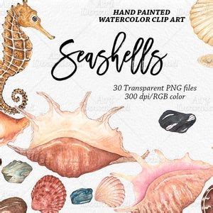 Mermaid Clipart Watercolor Sea Underwater Illustration Starfish Siren