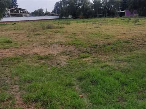 Venta Lote De Terreno En Santa Cruz De Arriba Texcoco Icasas Mx