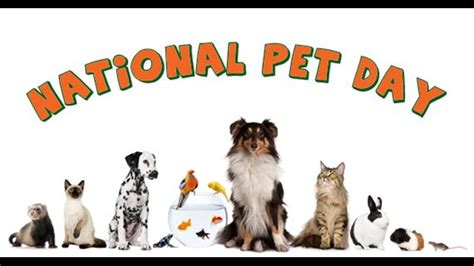 Top Ten Ways To Celebrate National Pet Day Today Fox61