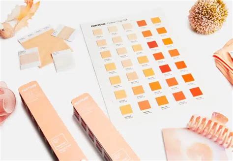 Peach Fuzz la couleur Pantone de l année 2024 Graphiste Blog