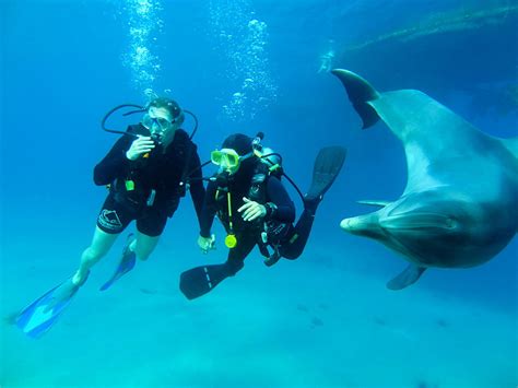 Recreational Scuba Diving - The Real Adventure | All 4 Diving Phuket