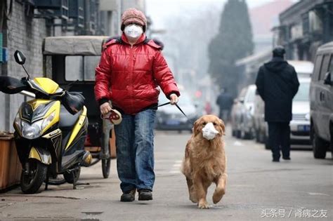 腎病因為感冒急性發展到腎衰竭？做到這九點讓你遠離秋季感冒 每日頭條