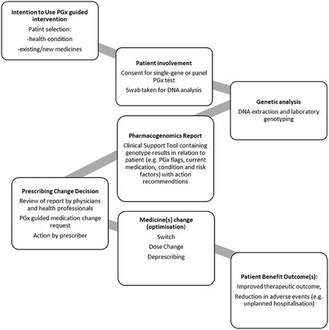 Frontiers An Analysis Of Pharmacogenomic Guided Pathways And Their