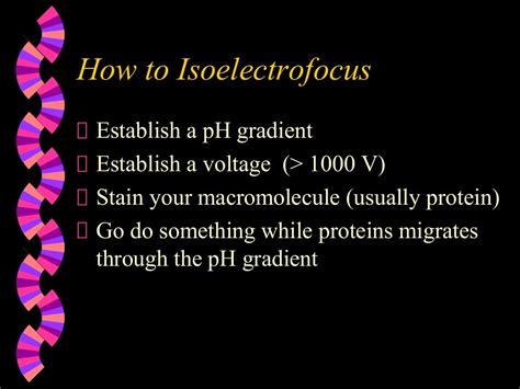 Isoelectric focusing