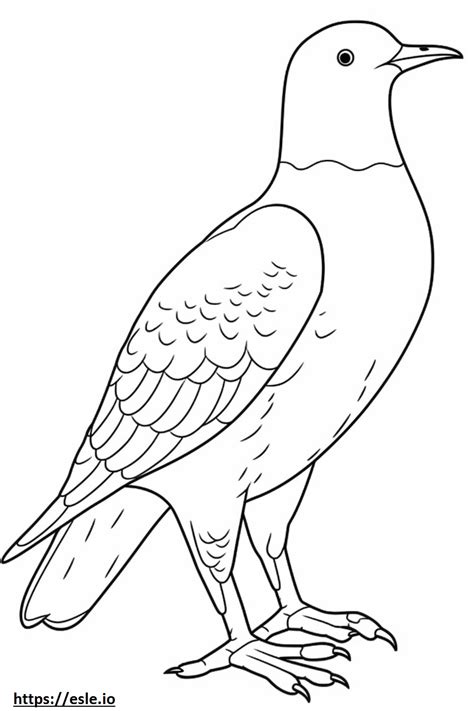 Northern Flicker Full Body Coloring Page