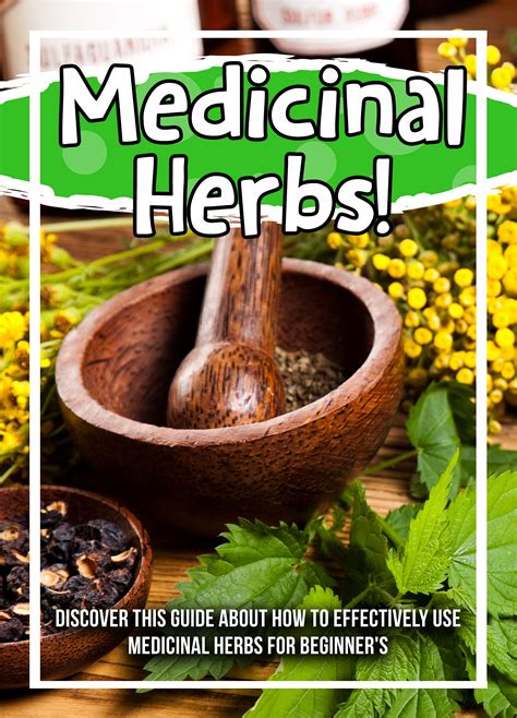 Medicinal Herbs Discover This Guide About How To Effectively Use