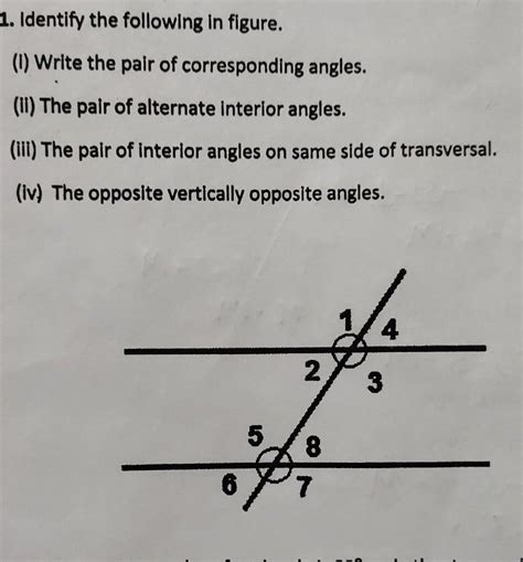 What Is The Difference Between Alternate Interior Angles And Exterior