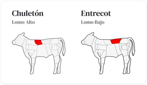 Entrecot De Ternera Qu Parte Es Homarus