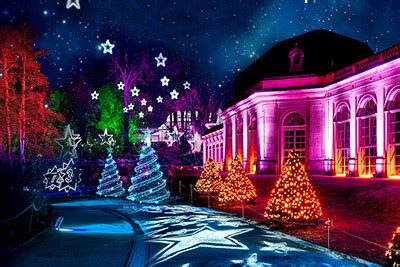 Christmas Garden Dresden Tickets Lichterfahrt Schloss Pillnitz