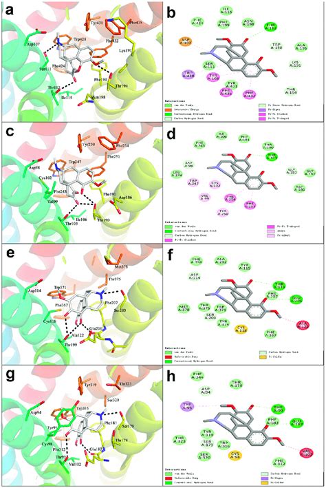 Binding Mode Of Sin And Histamine Receptors A Conformational Binding