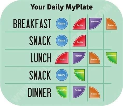 Your Daily Myplate Breakfast Lunch Dinner Snack Portion Serving