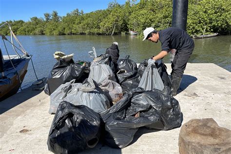 Mutir O De Limpeza De Manguezais Retira Quase Toneladas Do Entorno