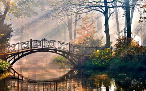 Drzewa Promienie S Oneczne Mostek Park Rzeczka Na Pulpit