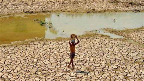 Onu allarme acqua La scarsità sta diventando endemica Pubblica Now