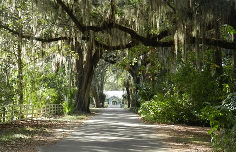 Micanopy: Stroll in one of the best Old Florida towns