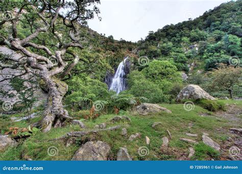 Aber Falls stock image. Image of park, drop, wales, hills - 7285961