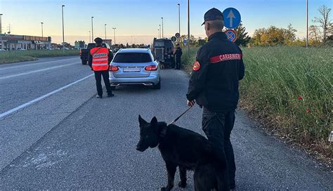 Nel Novese Controlli Straordinari Dei Carabinieri Una Denuncia