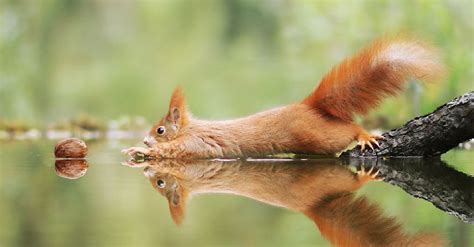 Ce photographe capture des scènes amusantes dans le quotidien des ...