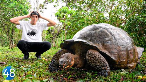 La Isla De Las Tortugas Gigantes Vuelta Al Mundo En D As Realtime