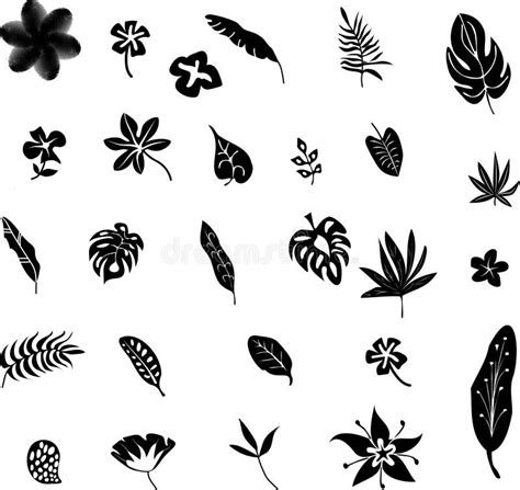 Set Of Black Silhouettes Of Tropical Leaves Palm Trees Plants Vector