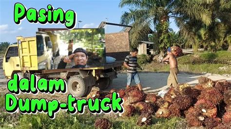 Pasing Dalam Dump Truckloading Sawit Riauriau Gak Ada Lawan