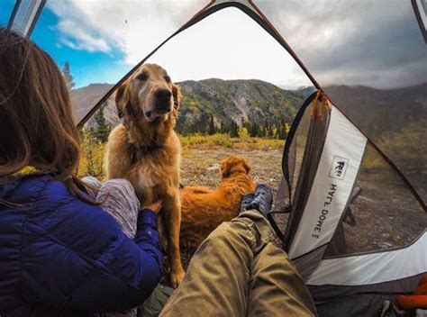 Tents For Camping With Dogs My Traveling Tents