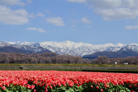 富山県観光ランキングtop31！穴場から名所まで！おすすめスポットご紹介！6ページ目 Travelnote トラベルノート