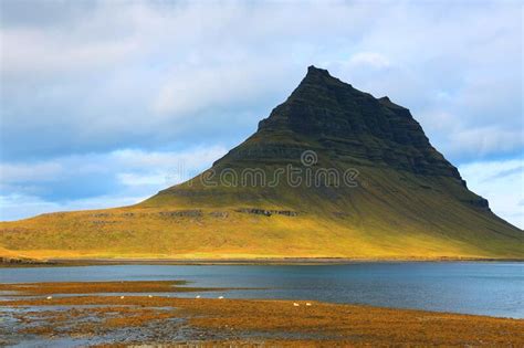 Kirkjuviel Berucht Ijsland Stock Foto Image Of Geologie 195253494