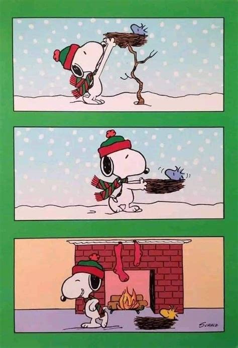 Pin By Debbie Petit Arndt On Peanuts Snoopy Snoopy Funny Snoopy