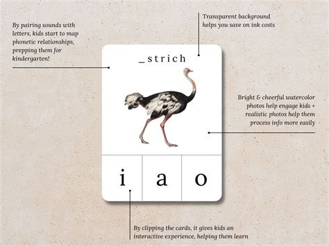 Phonics Flashcards Beginning Sounds Alphabet ABC Flash Cards - Etsy