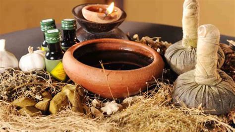ayurvedic products list ayurvedic companies product list  india
