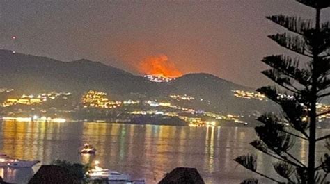 Bodrum da makilik ve otluk alanda yangın