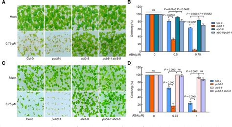 PDF U Box E3 Ubiquitin Ligase PUB8 Attenuates Abscisic Acid Responses