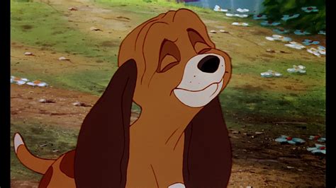 The Fox and the Hound: Screenshots - The Fox and the Hound Photo ...