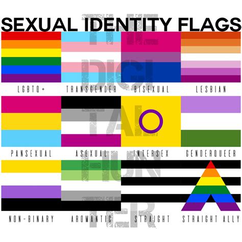 Straight Ally Flag Png Printable Digital Download Etsy