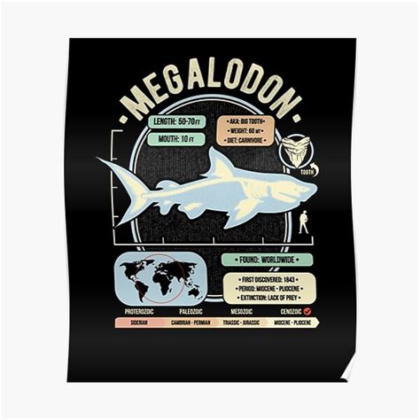 Dinosaur Facts Megalodon Science Anatomy Gift - Premium Matte Vertical Poster Designed & Sold By ...