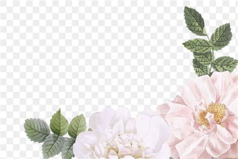 Wild Rose Png Border Transparent Background Premium Image By