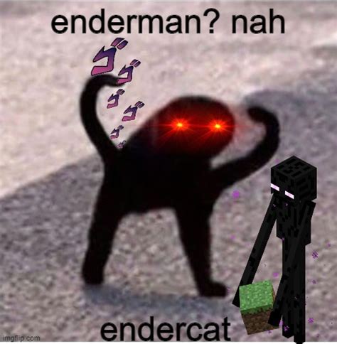 Ender Cat Imgflip