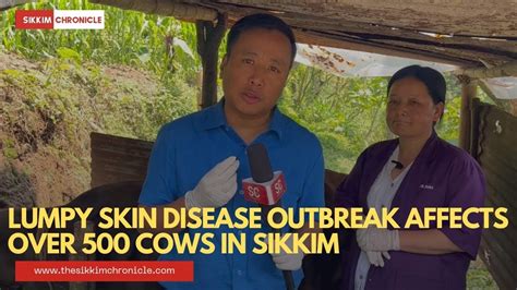 Lumpy Skin Disease Outbreak Affects Over 500 Cows In Sikkim Youtube