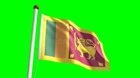 Sri Lanka Flag Waving Animation Background Animated Flag Of Sri Lanka