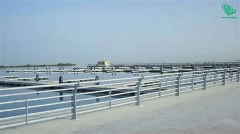 Thuwal Beach Jeddah; Swim, Relax & Have Fun | Saudi Scoop