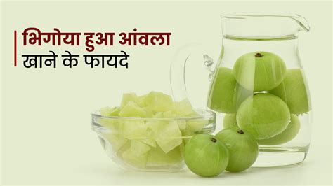 आंवले को पानी में भिगोकर खाने से सेहत को मिलेंगे ये 5 जबरदस्त फायदे Amla Soaked In Water